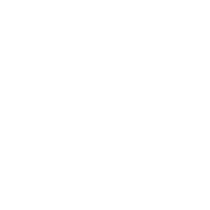 肠道与消化健康