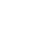 免疫与呼吸健康