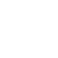 肠道与消化健康
